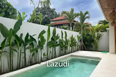 New 2 bedroom Villa 5 min to Sanur beach