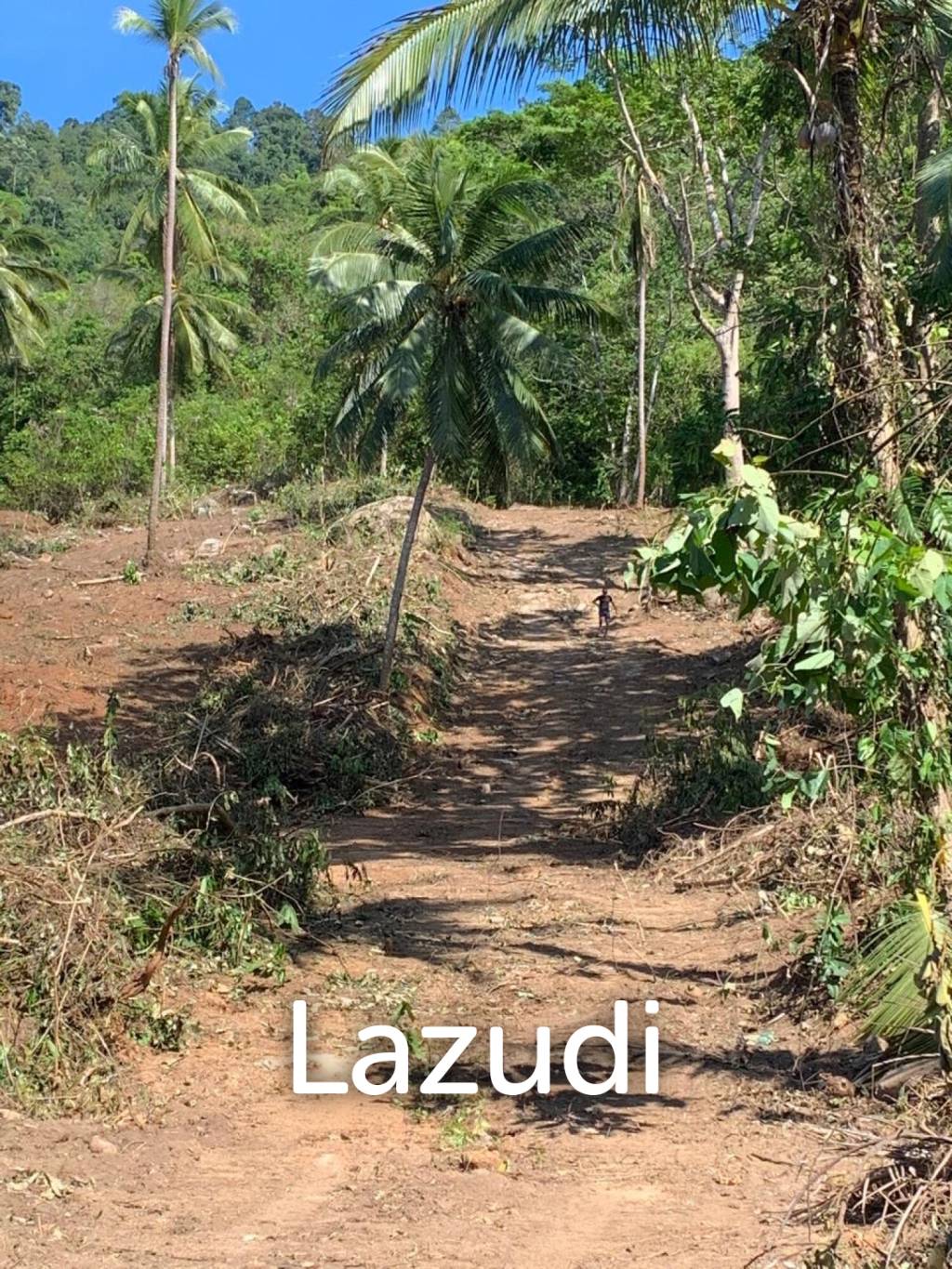 Prime Land for Sale 10 Rai in Hin Lat, Ko Samui