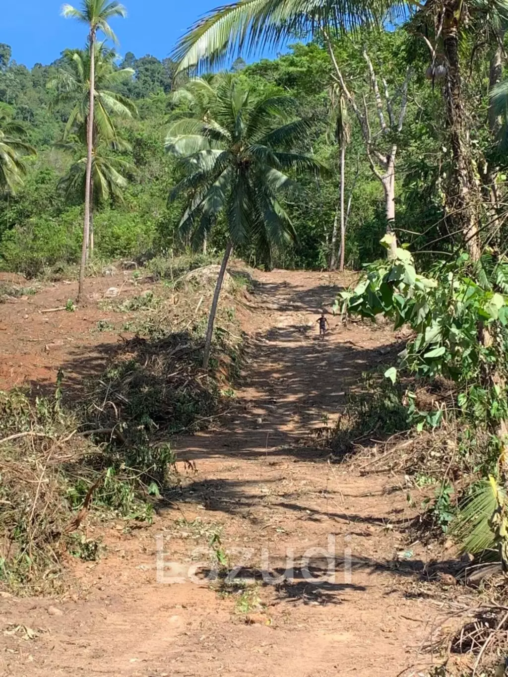 Prime Land for Sale 10 Rai in Hin Lat, Ko Samui