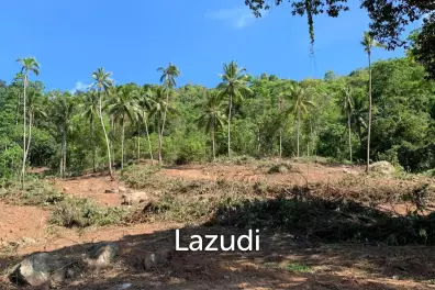 Prime Land for Sale 10 Rai in Hin Lat, Ko Samui
