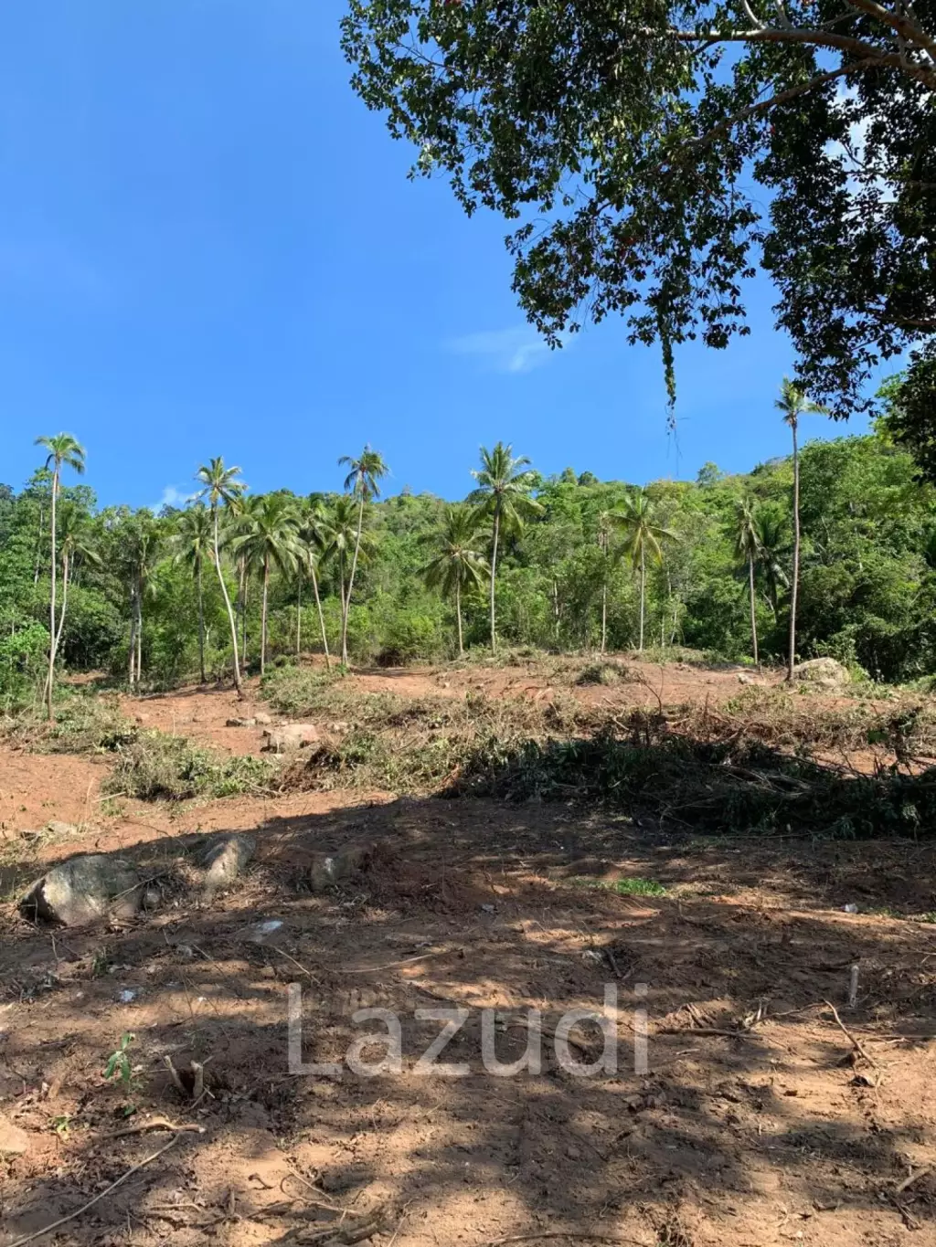 Prime Land for Sale 10 Rai in Hin Lat, Ko Samui
