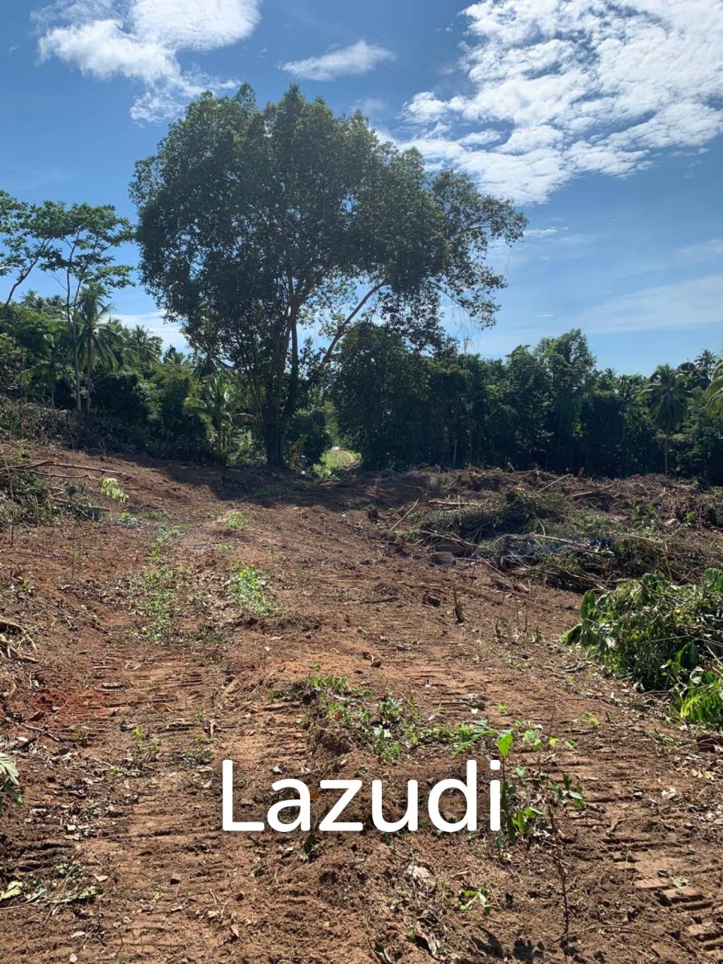 Prime Land for Sale 10 Rai in Hin Lat, Ko Samui