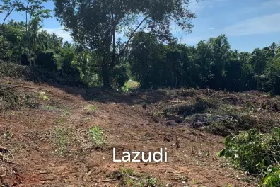 Prime Land for Sale 10 Rai in Hin Lat, Ko Samui