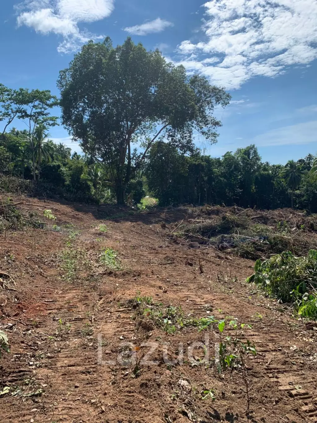 Prime Land for Sale 10 Rai in Hin Lat, Ko Samui