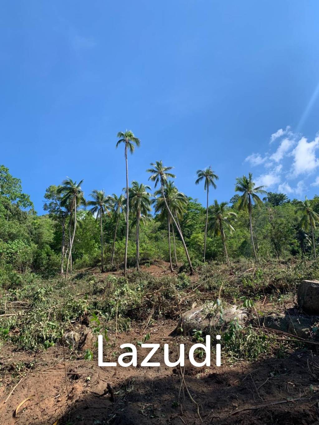Prime Land for Sale 10 Rai in Hin Lat, Ko Samui