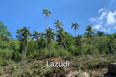 Prime Land for Sale 10 Rai in Hin Lat, Ko Samui