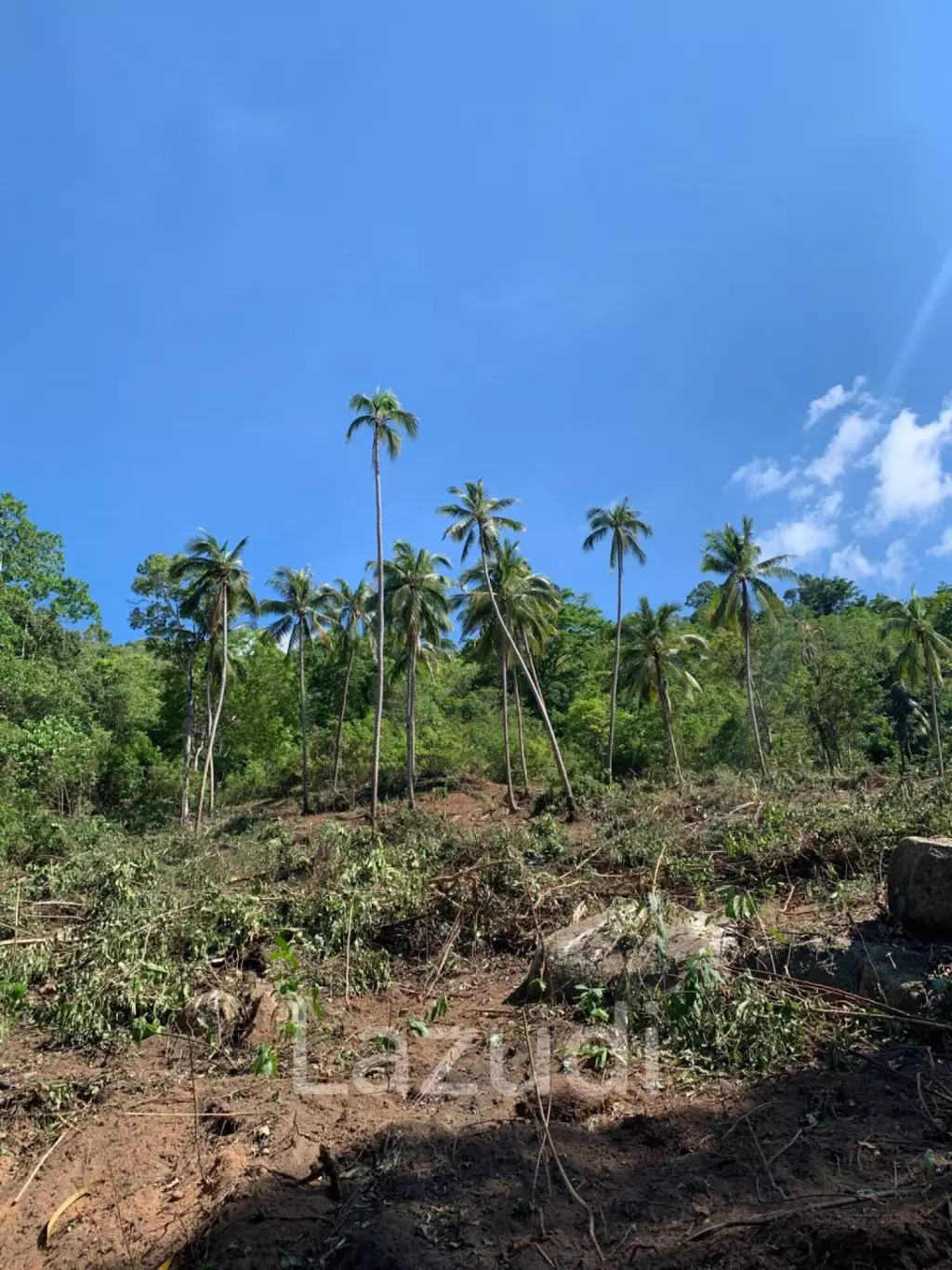 Prime Land for Sale 10 Rai in Hin Lat, Ko Samui