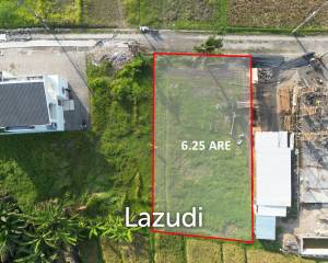 SPACIOUS LEASEHOLD LAND NEAR PIGSTONE BEACH, TABANAN