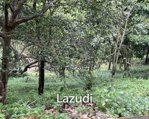 Land for Sale in Santi Thani – 1,520 sqm with Freehold Ownership