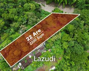 Prime 22 Are Land for Lease in Buwit – Tabanan with Stunning Jungle and River Views