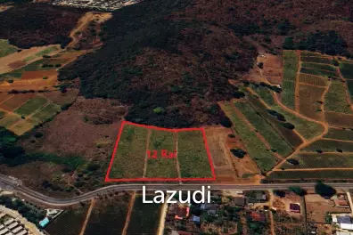 For Sale - Prime 12 Rai Land Investment in Wang Phong Pran Buri