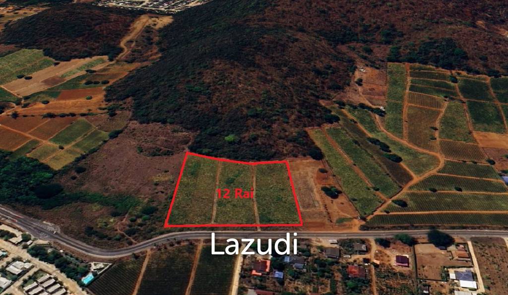 For Sale - Prime 12 Rai Land Investment in Wang Phong Pran Buri