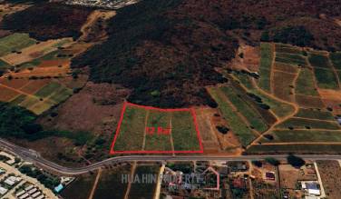 For Sale - Prime 12 Rai Land Investment in Wang Phong Pran Buri