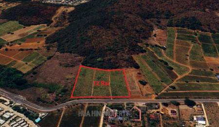For Sale - Prime 12 Rai Land Investment in Wang Phong Pran Buri