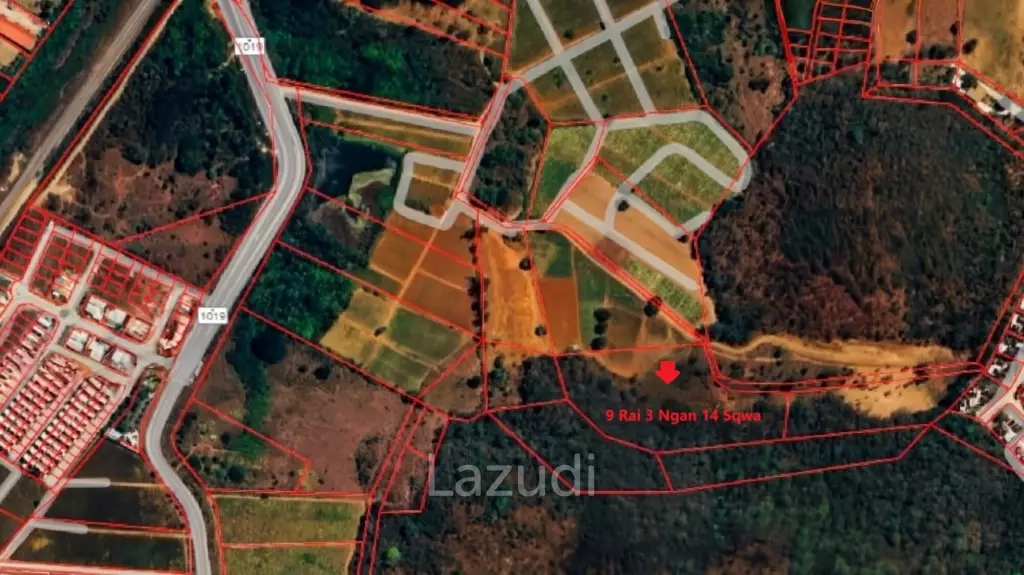 For Sale: 9 Rai 3 Ngan Land For Investment in Wang Phong Pran Buri