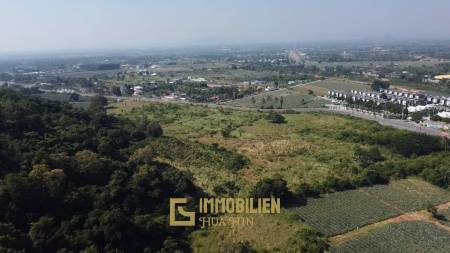 For Sale: 9 Rai 3 Ngan Land For Investment in Wang Phong Pran Buri