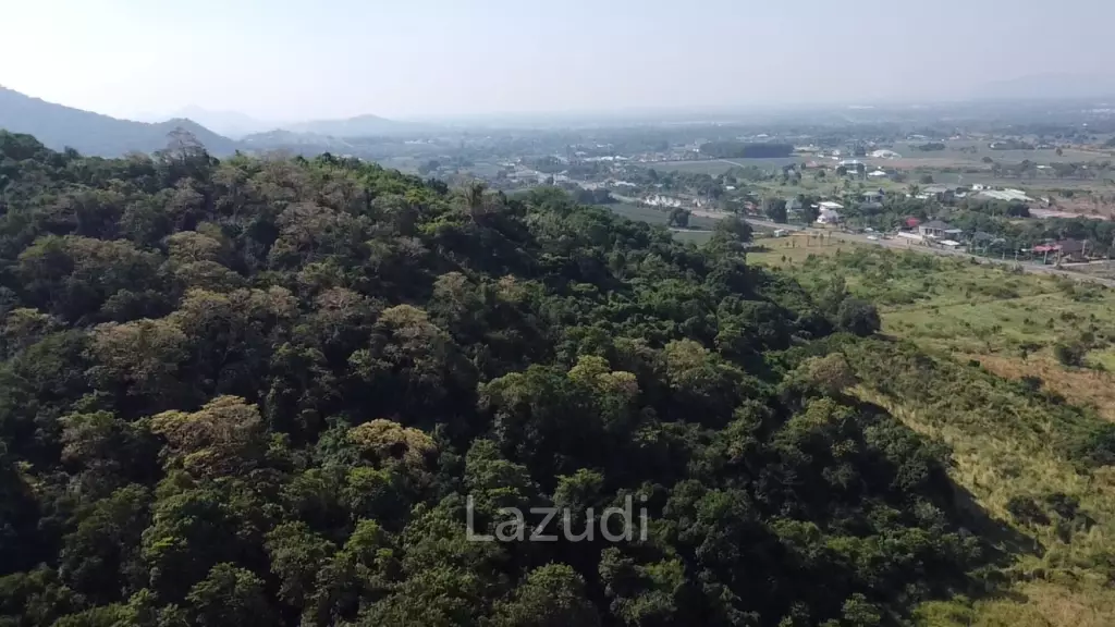 For Sale: 9 Rai 3 Ngan Land For Investment in Wang Phong Pran Buri