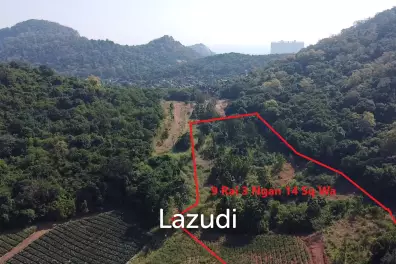 For Sale: 9 Rai 3 Ngan Land For Investment in Wang Phong Pran Buri