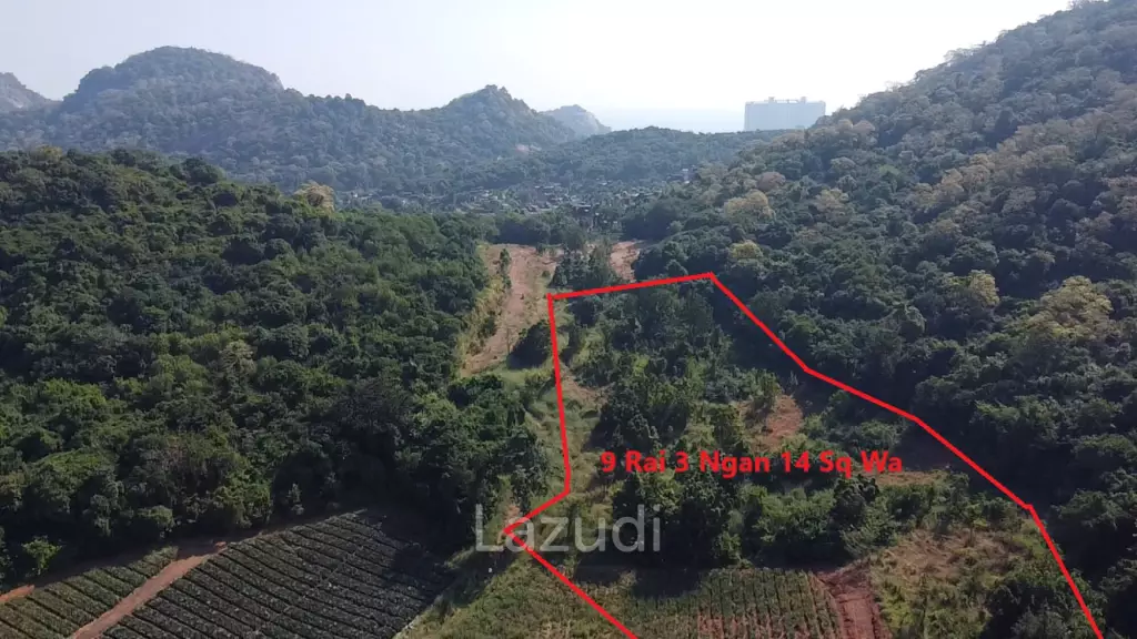 For Sale: 9 Rai 3 Ngan Land For Investment in Wang Phong Pran Buri