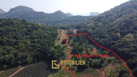 For Sale: 9 Rai 3 Ngan Land For Investment in Wang Phong Pran Buri