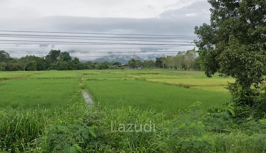 34 Rai Close To Main Road Land For Sale With Mountain View