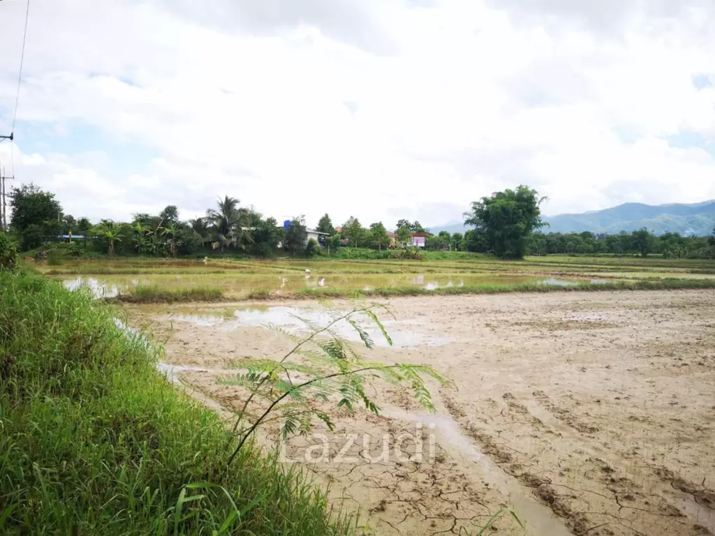 34 Rai Close To Main Road Land For Sale With Mountain View