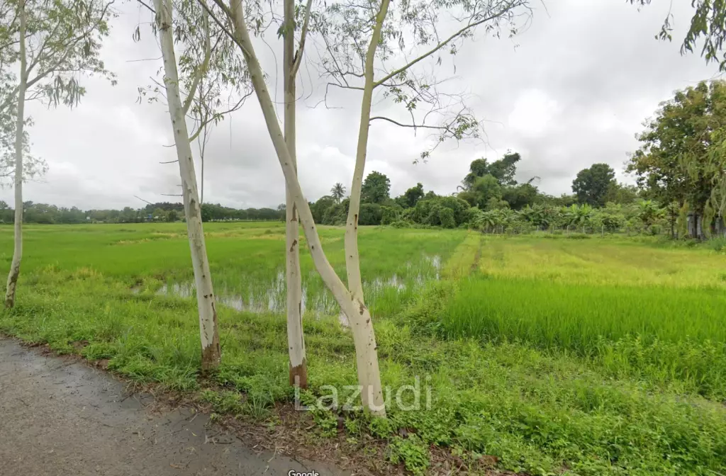 34 Rai Close To Main Road Land For Sale With Mountain View
