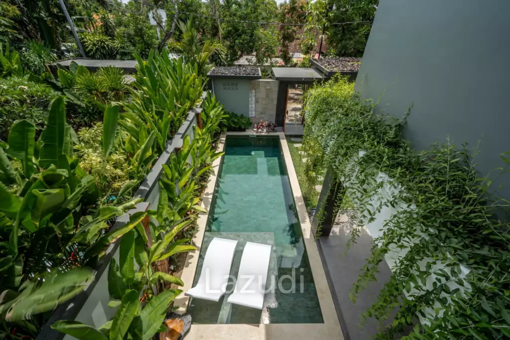 Gorgeous newly built 3 Bedroom Leasehold villa in Sanur