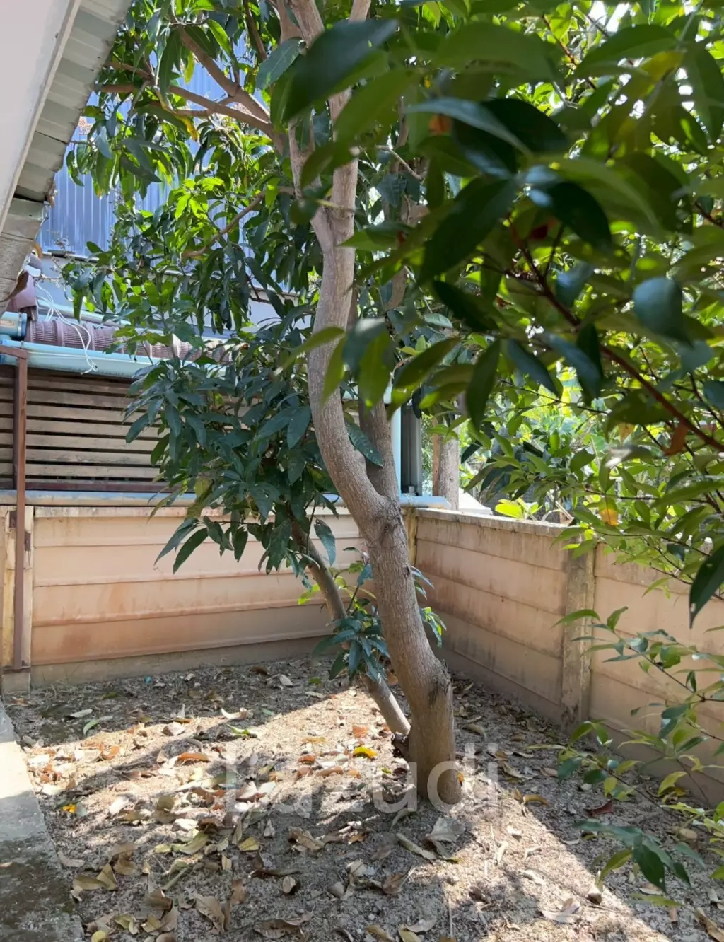 2 Bedrooms Single-Storey House For Rent in Great Community