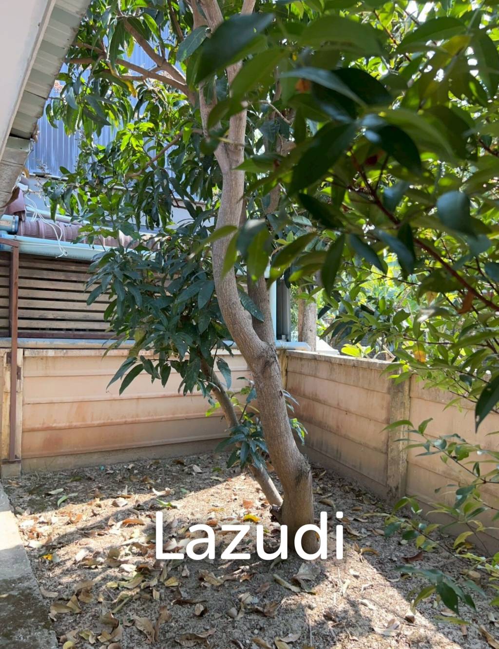 2 Bedrooms Single-Storey House For Rent in Great Community