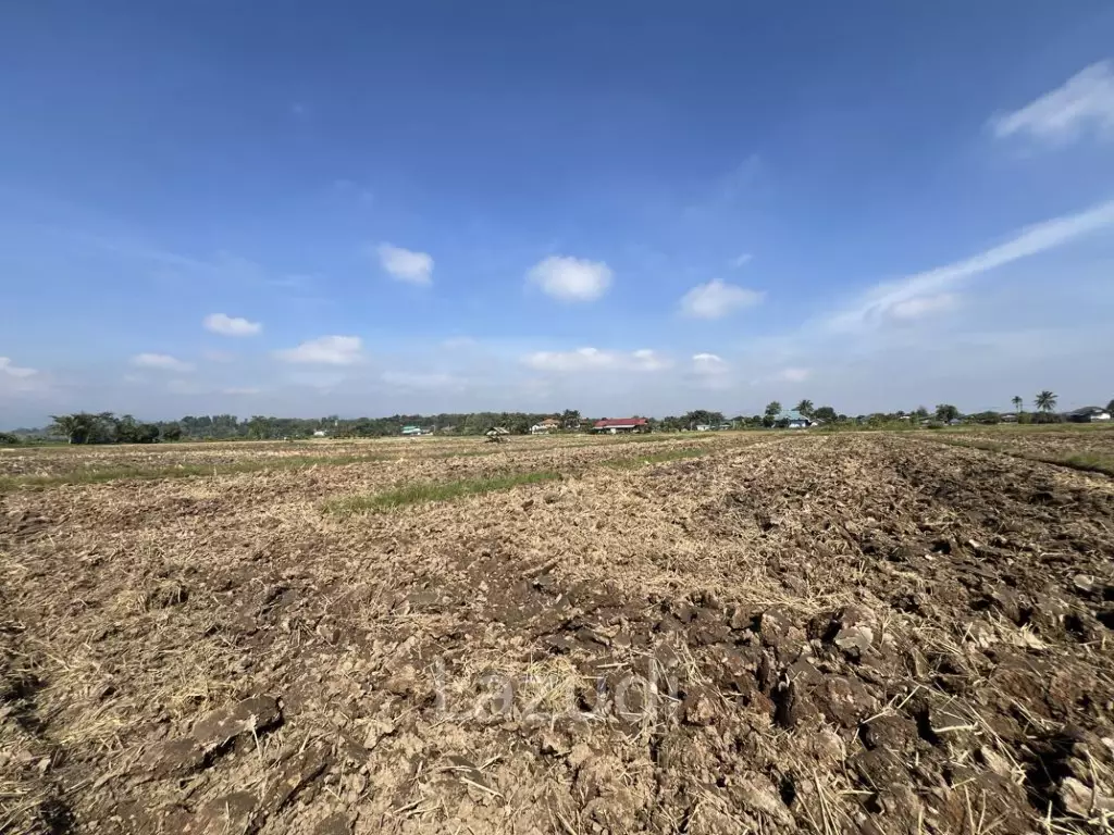 ขายที่ดิน 5 ไร่ติดคลองชลประทานและวิวภูเขา
