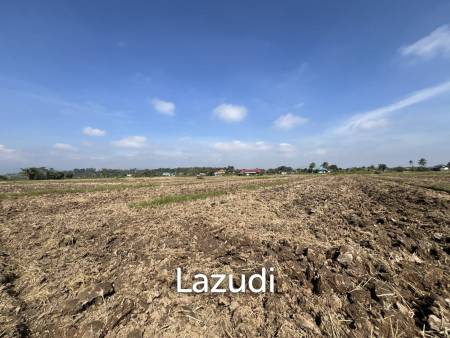 5 Rai Land For Sale With Mountain View and Rice Field