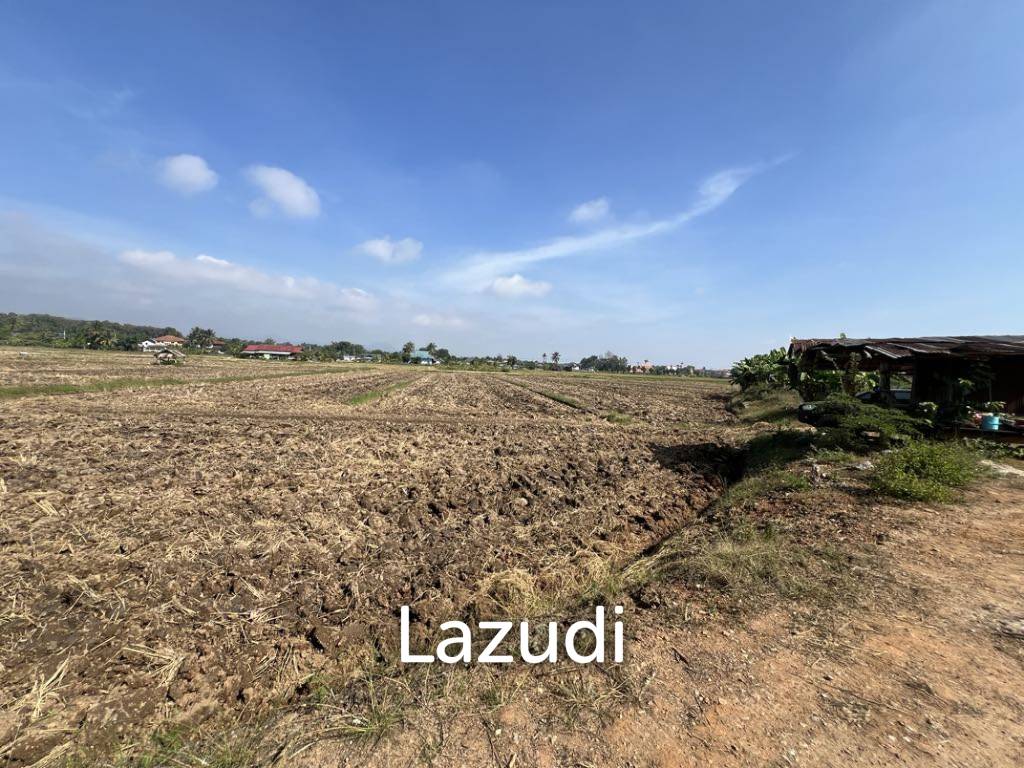 5 Rai Land For Sale With Mountain View and Rice Field