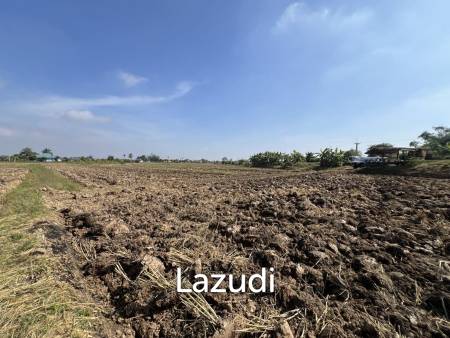 5 Rai Land For Sale With Mountain View and Rice Field