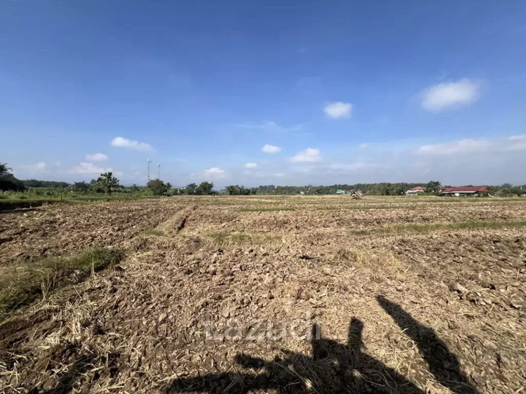 ขายที่ดิน 5 ไร่ติดคลองชลประทานและวิวภูเขา
