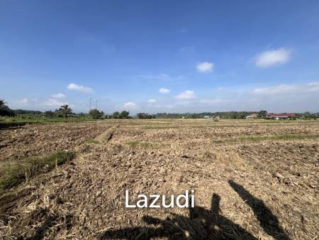 5 Rai Land For Sale With Mountain View and Rice Field