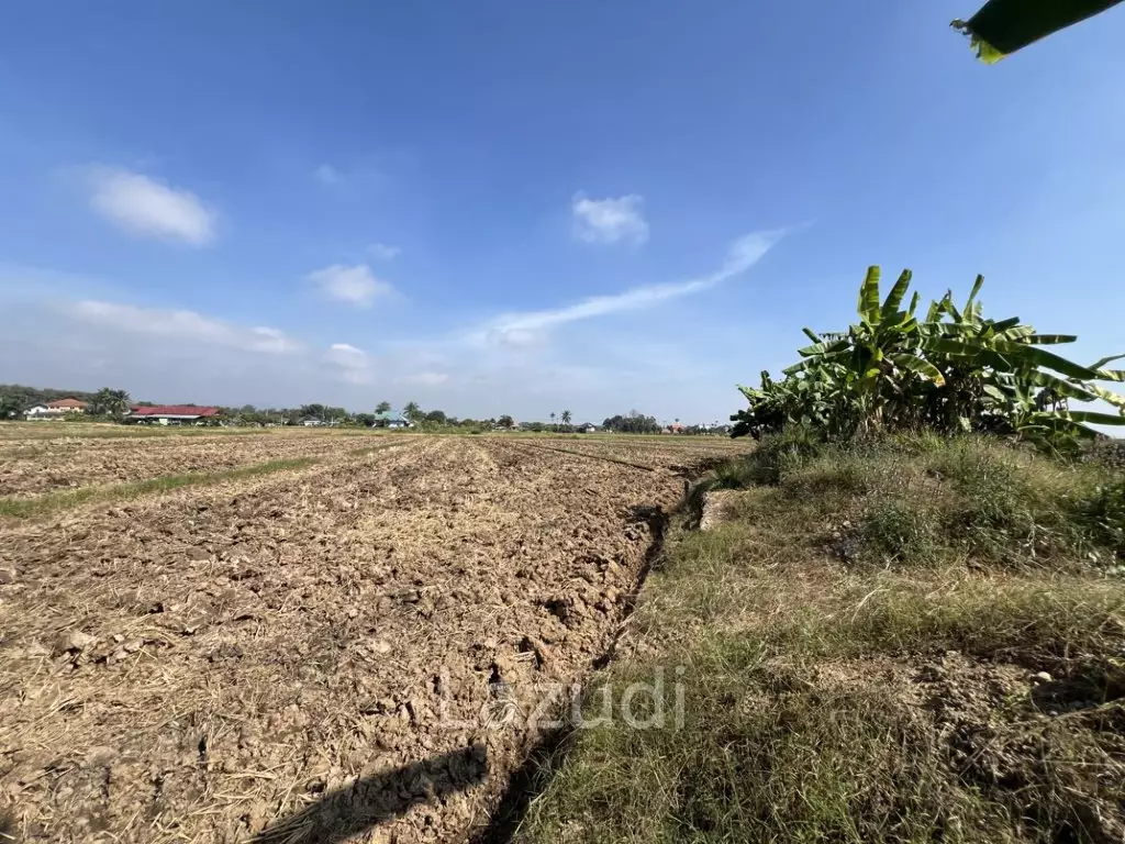 ขายที่ดิน 5 ไร่ติดคลองชลประทานและวิวภูเขา