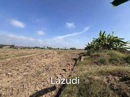 5 Rai Land For Sale With Mountain View and Rice Field