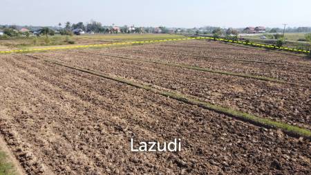 5 Rai Land For Sale With Mountain View and Rice Field