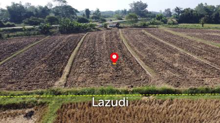 5 Rai Land For Sale With Mountain View and Rice Field