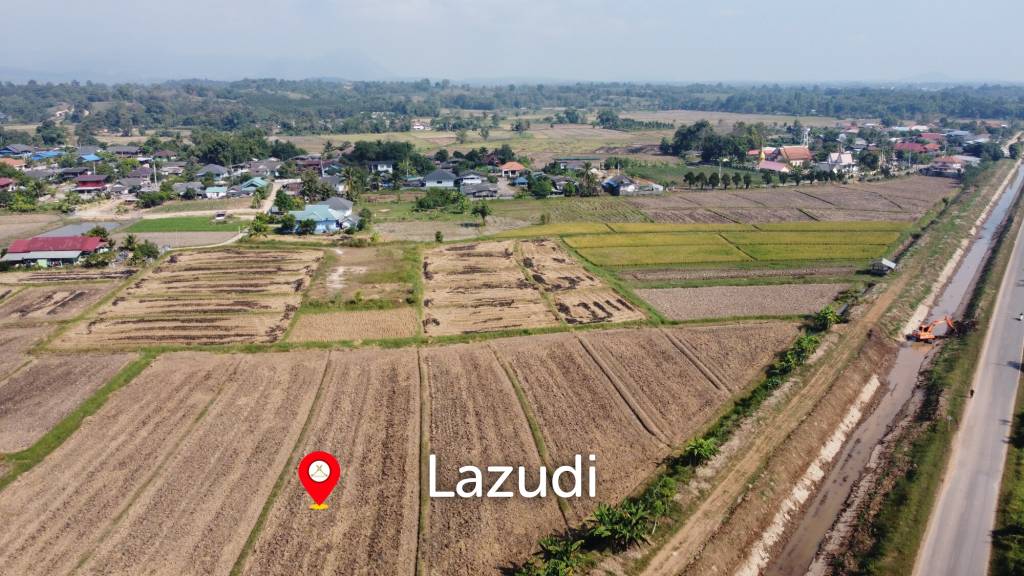 5 Rai Land For Sale With Mountain View and Rice Field