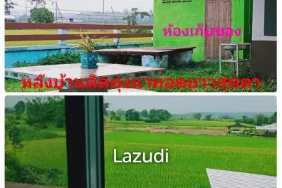 3 Bedrooms House For Sale with Stunning Rice Field View