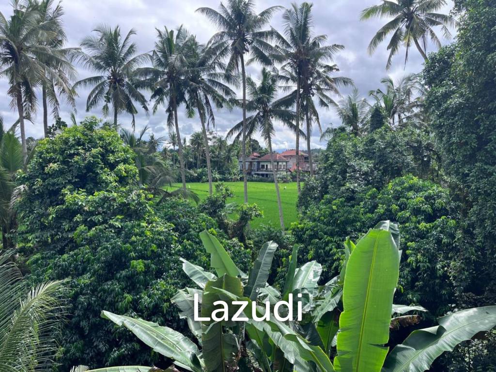 Two and Three Bedroom Riverfront Leasehold Development - Ubud Bali