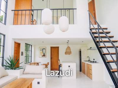 Newly developed Loft 1 Bedroom private Villa in Balangan