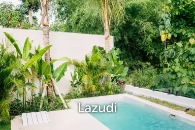 Newly developed Loft 1 Bedroom private Villa in Balangan