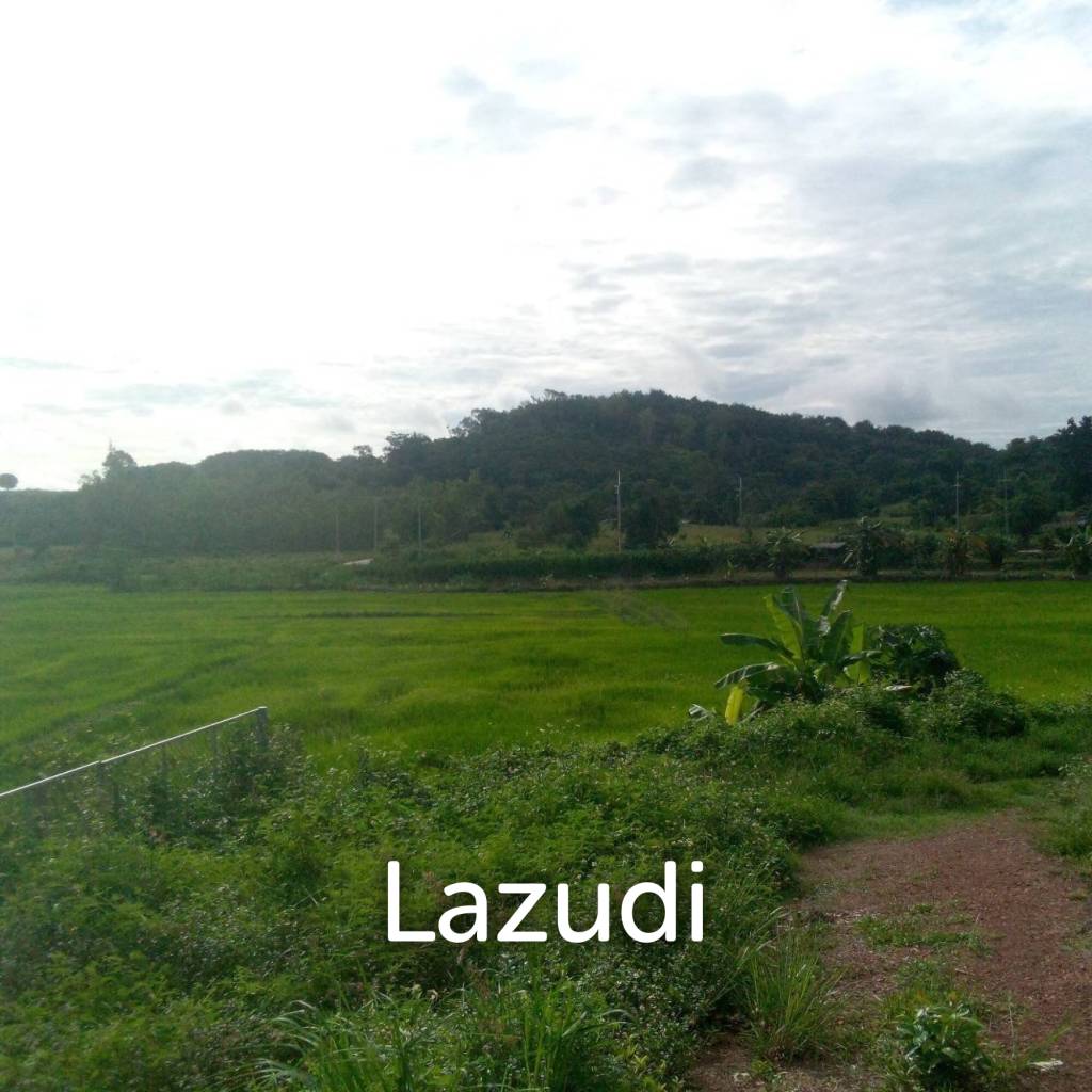 47 Rai Hilly Land For Sale Surrounded by Nature