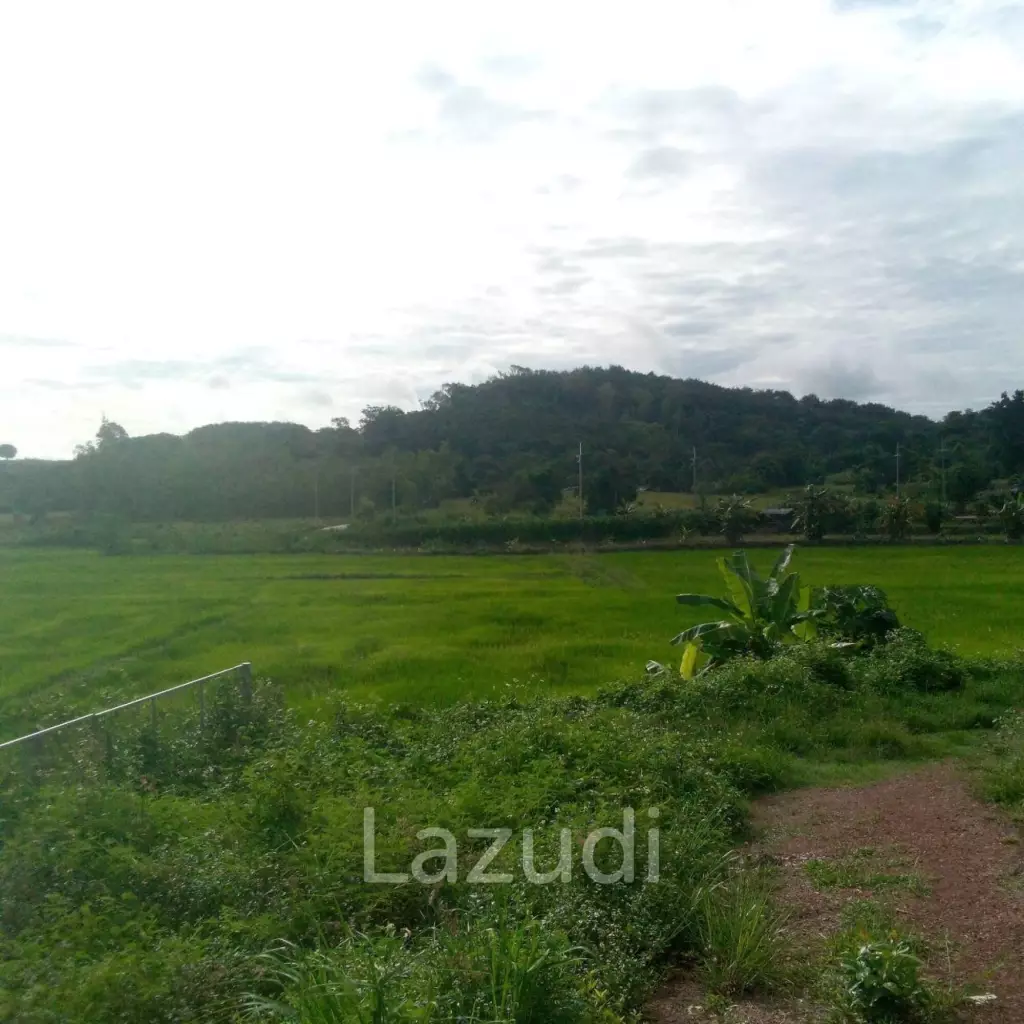 47 Rai Hilly Land For Sale Surrounded by Nature
