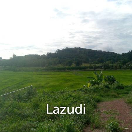 47 Rai Hilly Land For Sale Surrounded by Nature