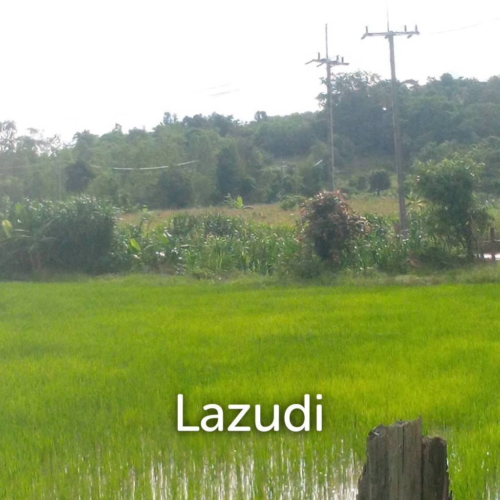 47 Rai Hilly Land For Sale Surrounded by Nature