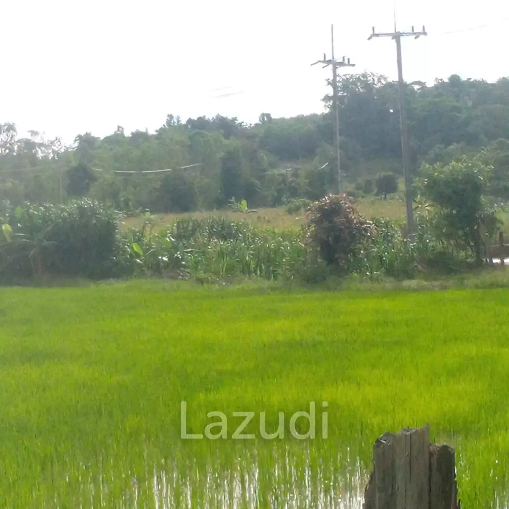 47 Rai Hilly Land For Sale Surrounded by Nature